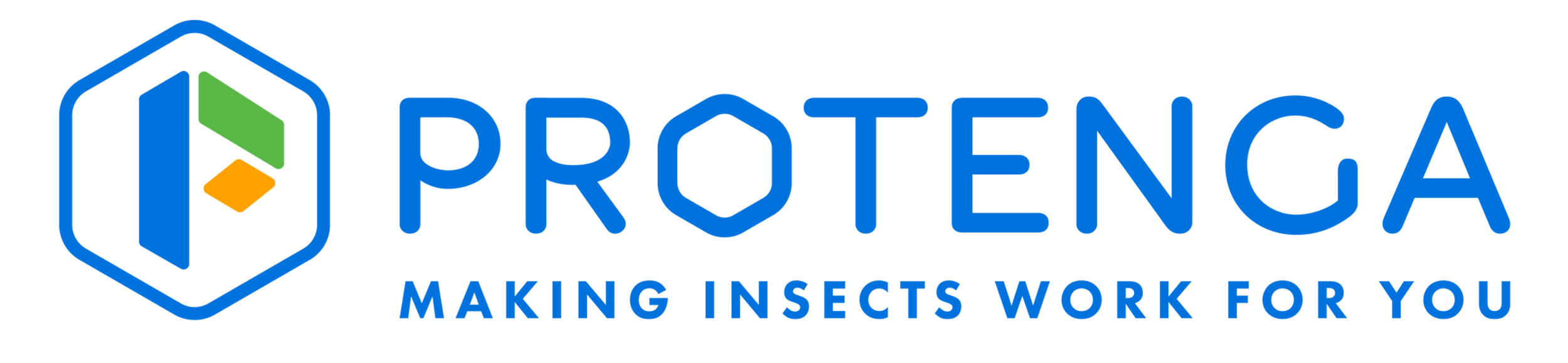  Global Insect Protein Market Major Players