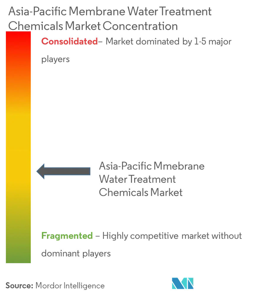 Asia-Pacific Membrane Water Treatment Chemicals market - Market Concentration