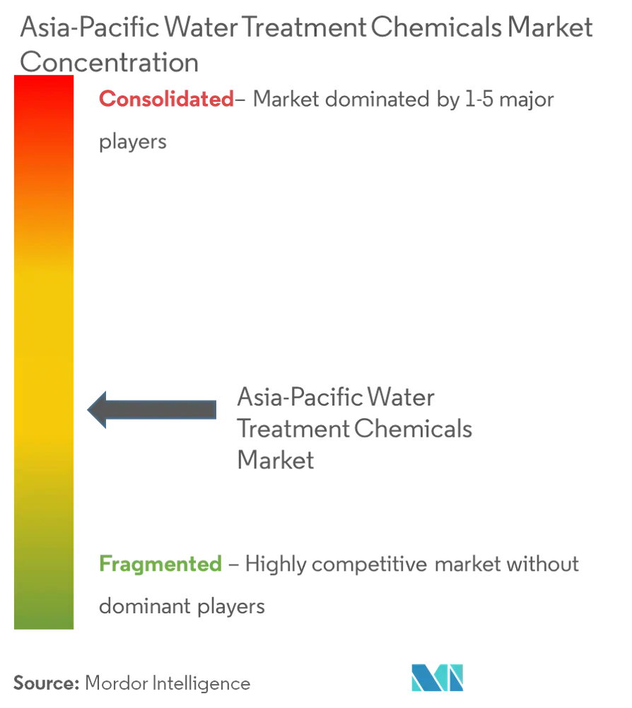 Asia-Pacific Water Treatment Chemicals Market - Market Concentration.PNG
