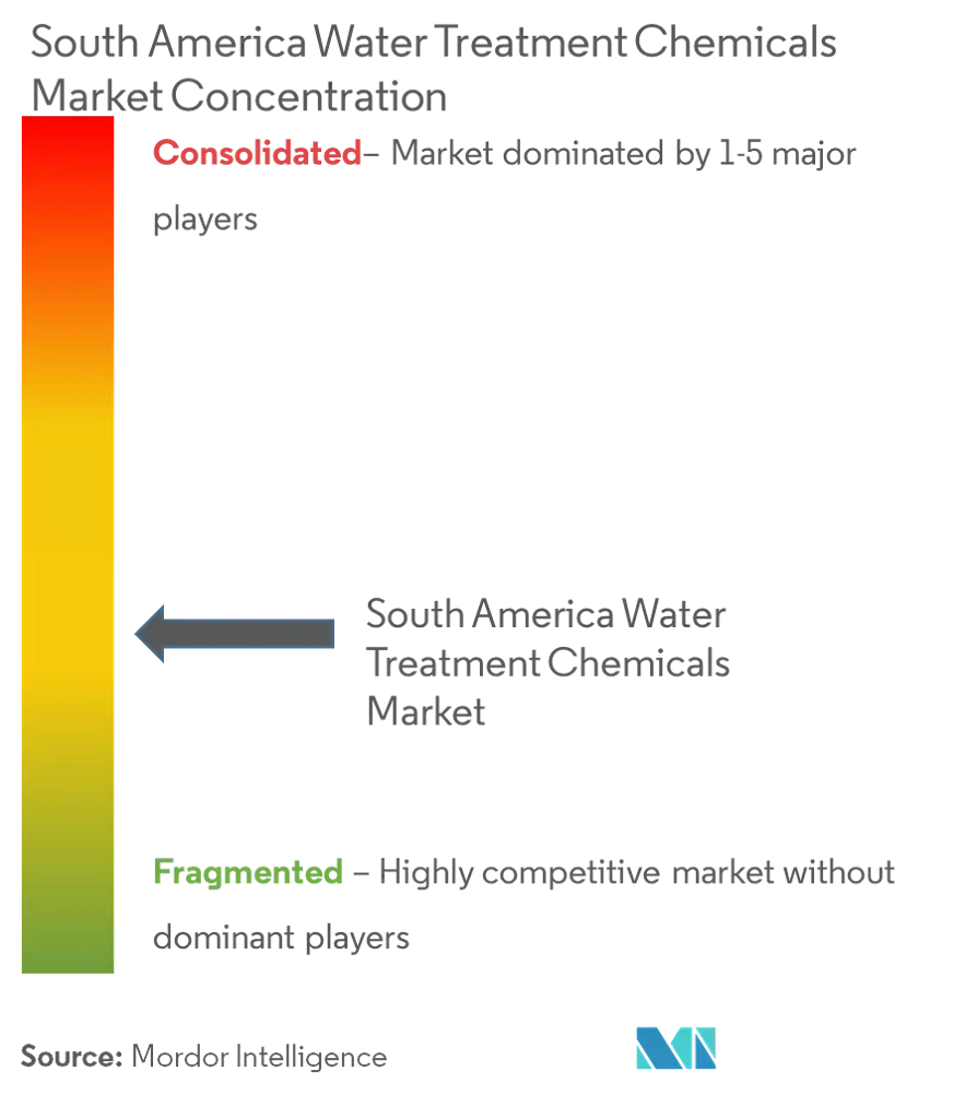 South America Water Treatment Chemicals market - Market Concentration.png